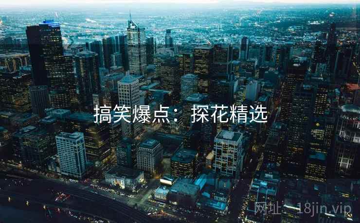 搞笑爆点：探花精选