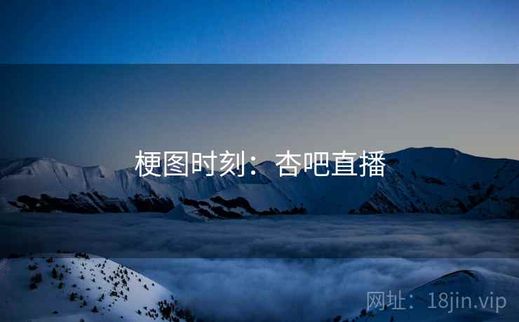 梗图时刻：杏吧直播