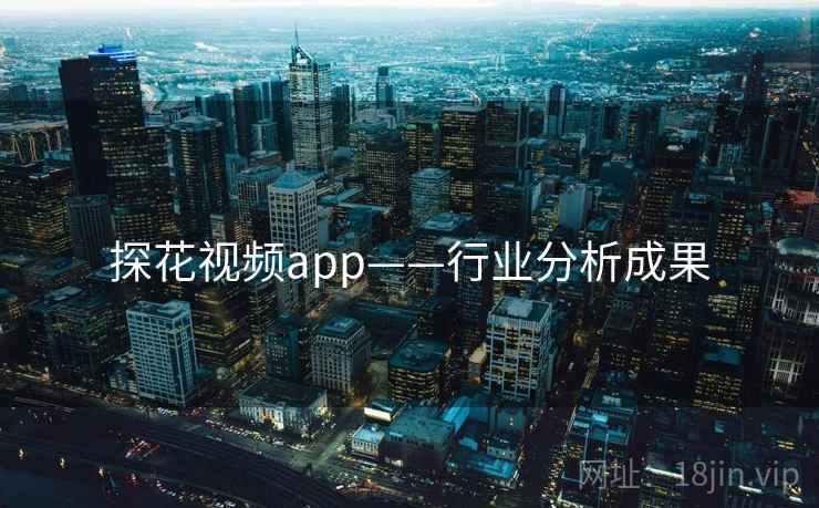 探花视频app——行业分析成果 探花视频app——行业分析成果