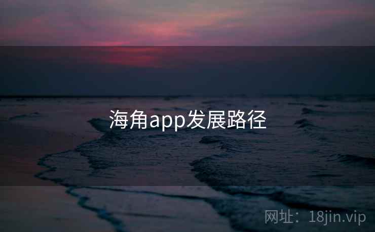 海角app发展路径